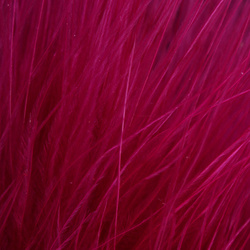 FFGene Wooly Bugger peresa marabu Blood Quill (7-10 cm)