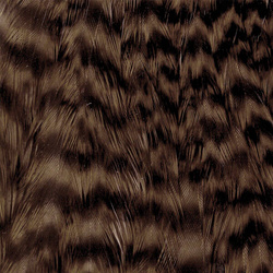 Wapsi Grizzly Hen Neck