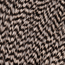 FFGene Howard Hackle Capes #3 1/2