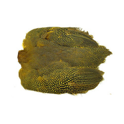 Wapsi gyöngytyúk tollas bőre