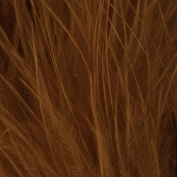 FFGene Wooly Bugger pera marabu (Blood Quill) (7–10 cm cm)