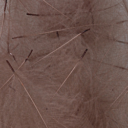 Hareline pene Cul De Canard (CDC)