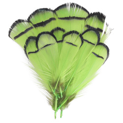 FFGene Tippet peresa diamantnega fazana