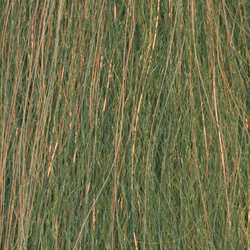 H2O Sculpting Flash Fibre