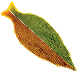 Ewing Grizzly Half Capes