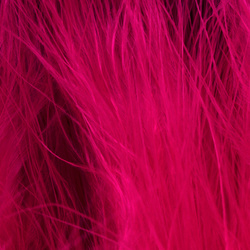 Blood-Quill-Maraboufedern – FFGene (10-12 cm)