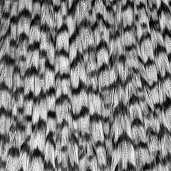 Wapsi Dry Fly Neck Select Sections Butt