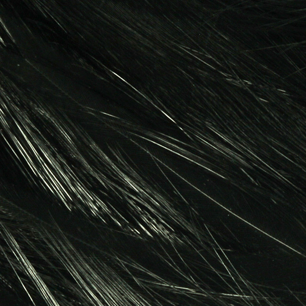 Hareline Pene hackle de pe gât pentru muște de apă sărată