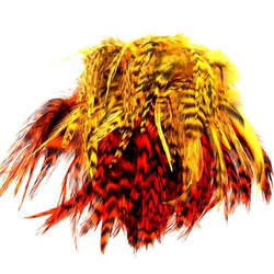 FFGene losse hanenzadelveren, Chinchilla