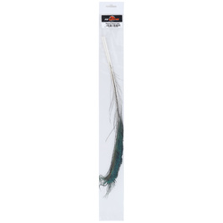 FFGene Peacock sword tails