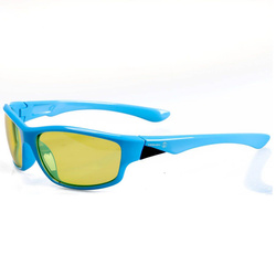 Negnon Camelopardalis Polarized Fishing Glasses