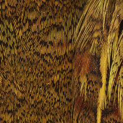 Wapsi Hungarian Partridge Skin