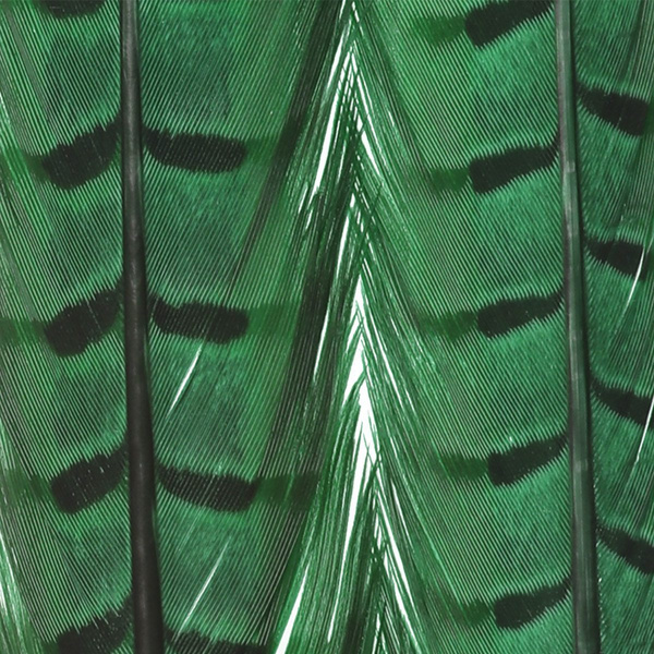 FFGene Pheasant Center Tail