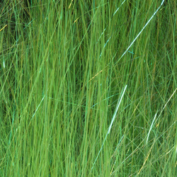 Hareline Ice Dub Shimmer Fringle