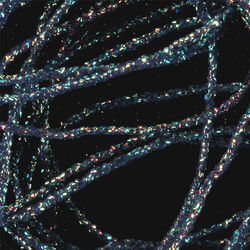 Sybai Pearl SolidRib