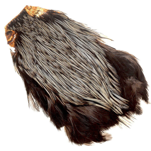 FFGene India 수탉 넥 케이프 AA 등급