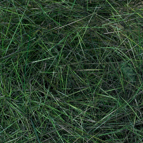FFGene Nutria Dubbing