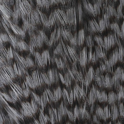 Ewing Grizzly Half Capes