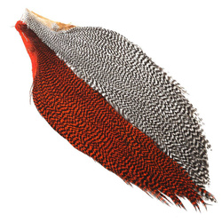 Halber Federbalg Hareline