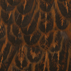 Wapsi Soft Hackle Hen Saddle Patch