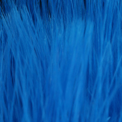 FFGene Wooly Bugger Maraboufjädrar (Blood Quill) (7-10 cm)