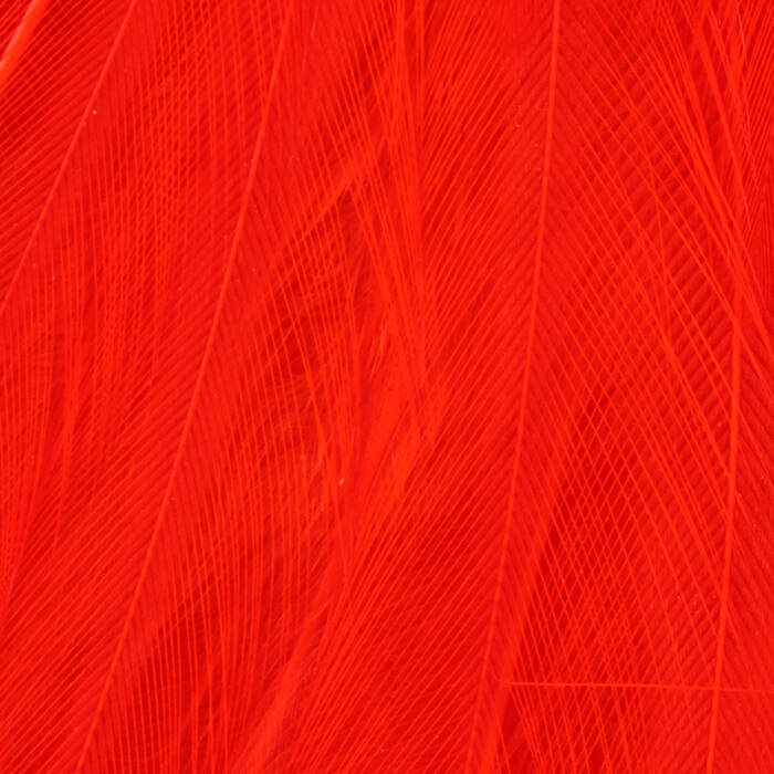 Hot Orange