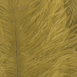 Wapsi Ostrich Marabou