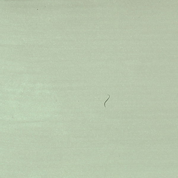 Hareline Medium Crystal Skin