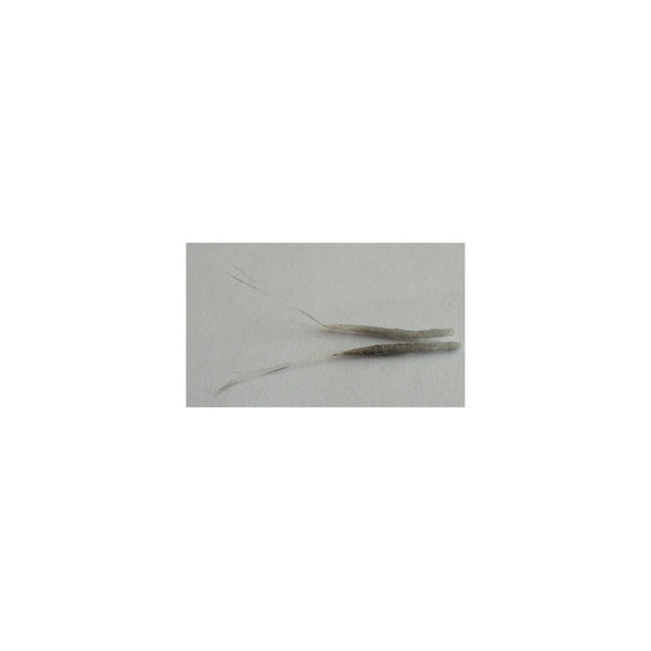 FFGene Tube - Bodies Dry Fly