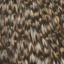 Wapsi Dry Fly Rooster Necks