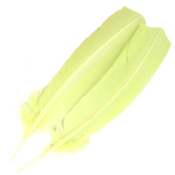 FFGene Turkey Wing Quill
