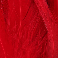 Hareline Strung Chinese 5-7 Saddle