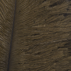 Wapsi Ostrich Marabou