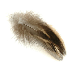 one size