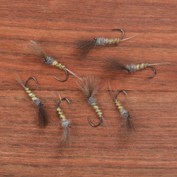 Tan CDC Emerger