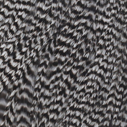 Ewing Grizzly Half Saddles