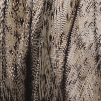 Black Speckled Corzuno