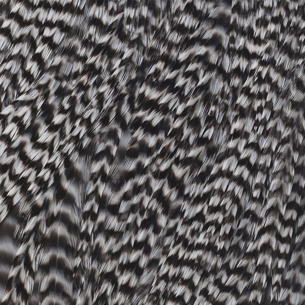 Ewing Grizzly Half Saddles