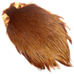 Hahnenbalg FFGene India Class Top