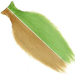 Ewing puolikas kukonniska