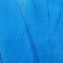 FFGene Goose Shoulders