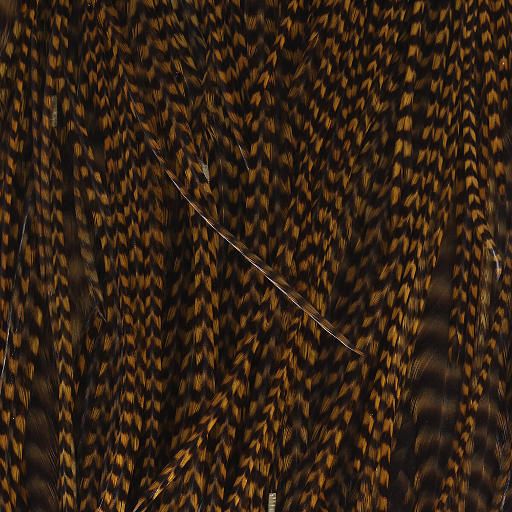 #1/1 - Grizzly Gold Olive