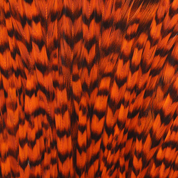 Ewing Grizzly Whole Capes