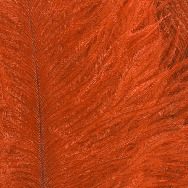 Wapsi Ostrich Marabou