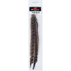 FFGene Pheasant Hen Central tail