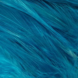 Hareline Saltwater Neck Hackle