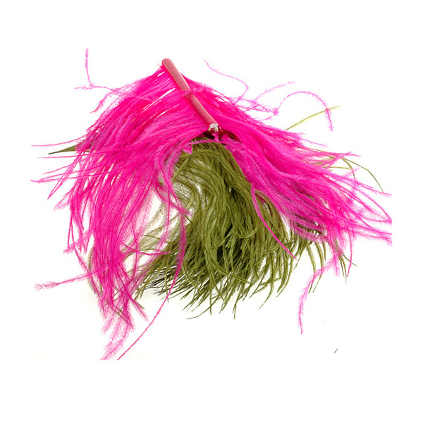 FFGene Ostrich Plumage