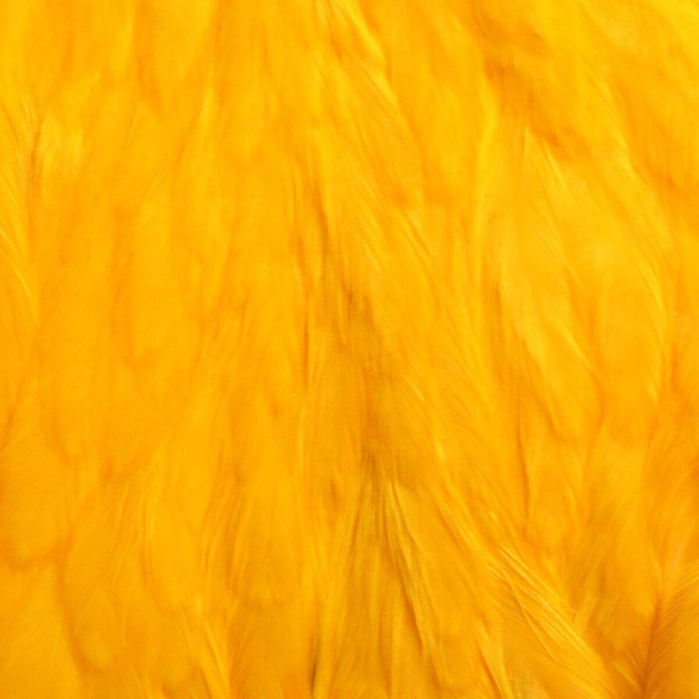 Sunburst Yellow