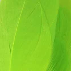 Hareline Select Goose Shoulder