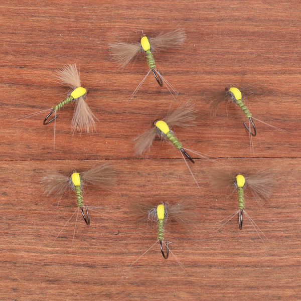 Olive Foam Case Spinner